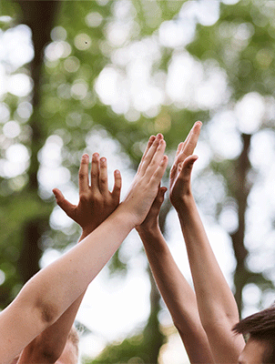 2121�Ƿ���(�й���)�����ٷ���վ