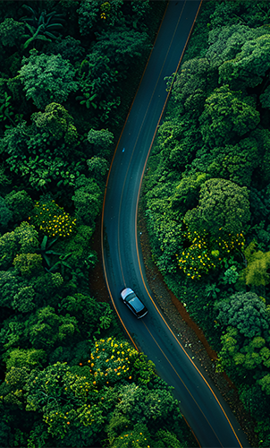 2121�Ƿ���(�й���)�����ٷ���վ